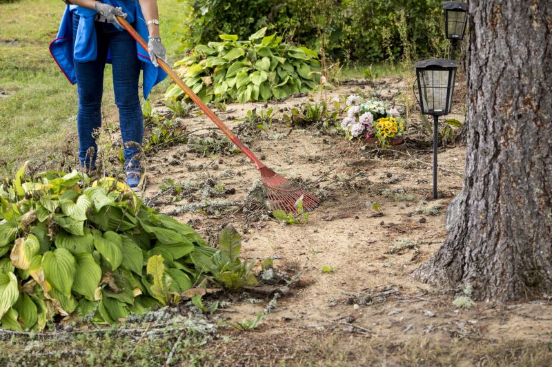 Site Clearing Service