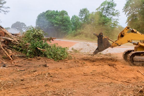 Cost of Forestry Mulching Service in Bountiful