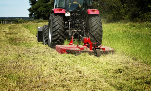 Cost of Brush Clearing Service in Bountiful