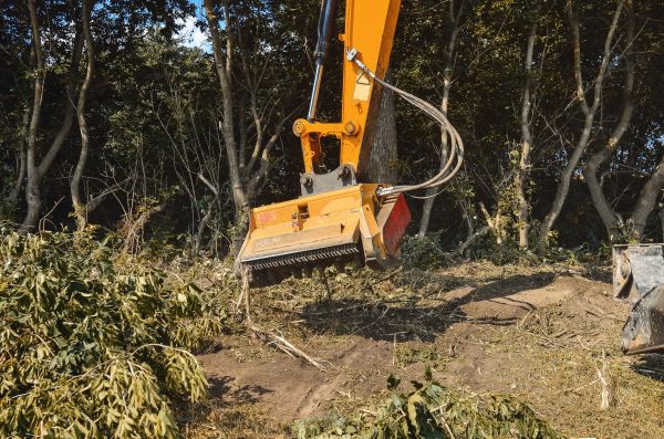 Cost of Brush Removal Service in Bountiful