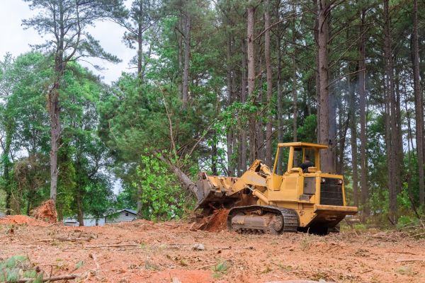 Cost of Property Clearing in Bountiful