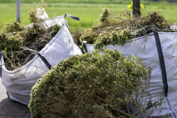 Cost of Bushes Clearing in Bountiful
