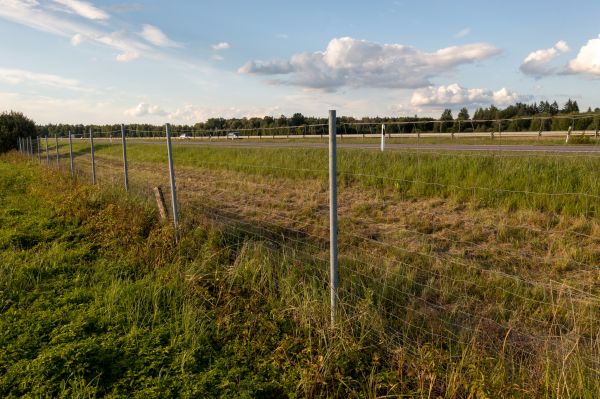 Cost of Property Line Clearing in Bountiful