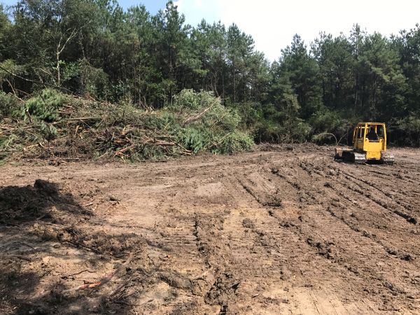 Cost of Thicket Clearing in Bountiful